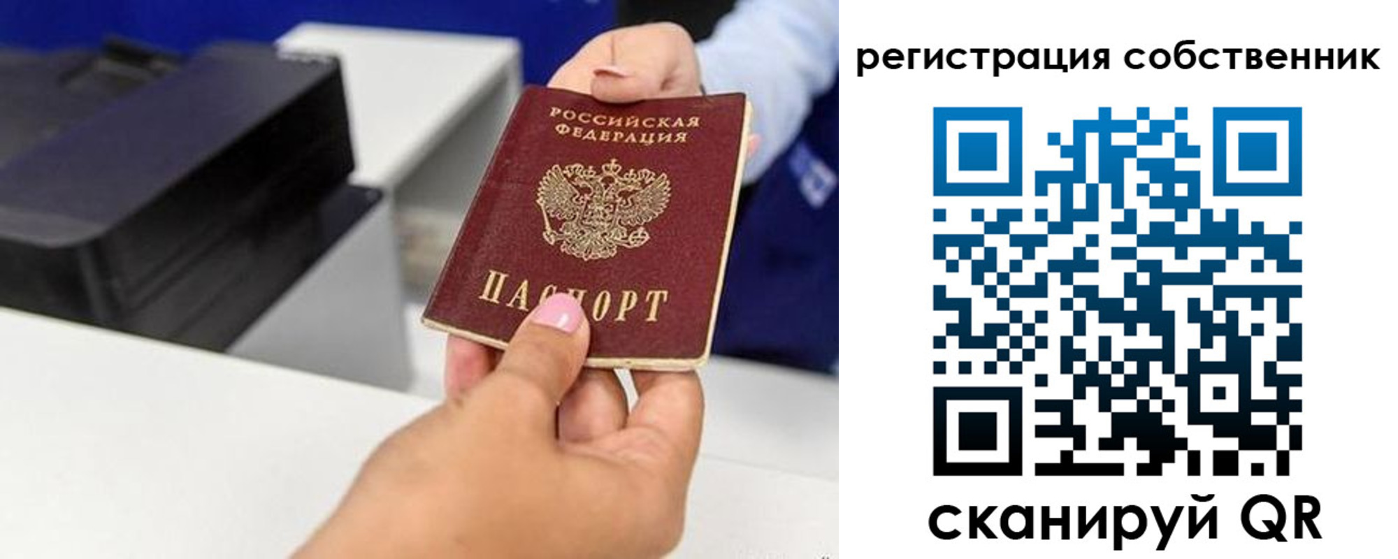 прописка для школы в Жукове